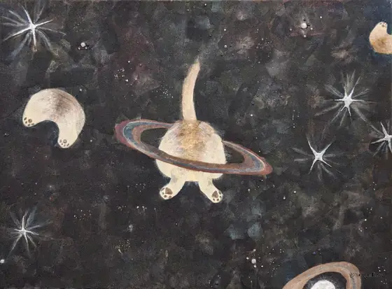 The Doggy Butt Galaxy